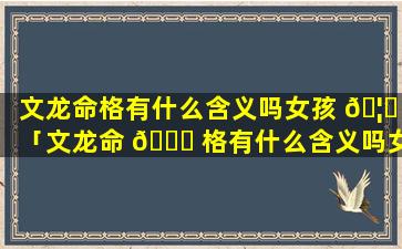 文龙命格有什么含义吗女孩 🦄 「文龙命 🐈 格有什么含义吗女孩名字」